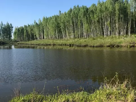Участок в Тульская область, Ясногорский район, Иваньковское с/пос, д. ...