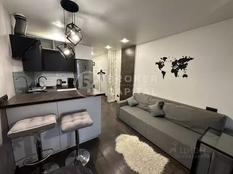 Студия Новосибирская область, Новосибирск Покатная ул., 130/1 (29.0 м)