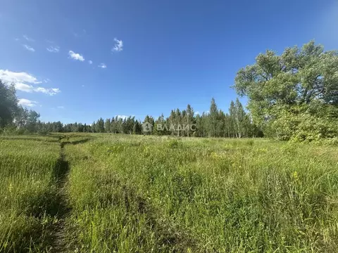 Участок в Московская область, Зарайск Зарайск муниципальный округ, ...