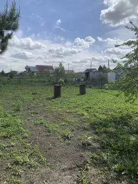 Участок в Алтайский край, Павловский район, с. Шахи Новая ул., 14 ...