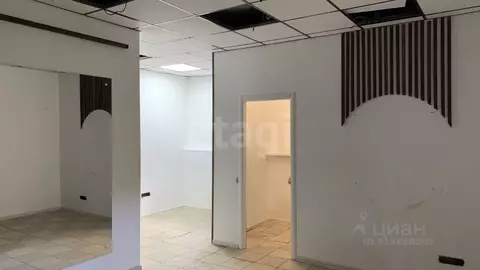 Помещение свободного назначения в Коми, Сыктывкар ул. Маегова, 21 (35 ...