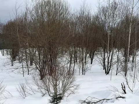 Участок в Московская область, Истра муниципальный округ, д. Корсаково  ...