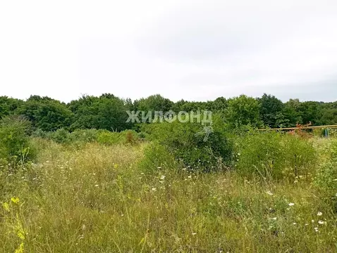 Участок в Белгородская область, Белгородский район, Ериковское с/пос, ...