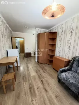 Квартира-студия: Никольское, Первомайская улица, 17к1 (24.8 м)