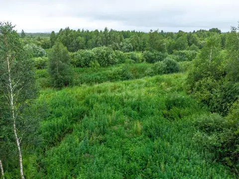 Участок в Тюменская область, Тюмень Садовое товарищество Липовый ...