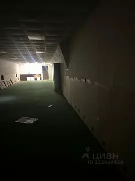 Помещение свободного назначения в Татарстан, Набережные Челны ул. ...