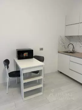 Студия Санкт-Петербург пос. Стрельна, просп. Буденного, 20к5 (25.0 м)