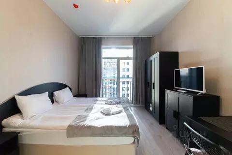 Студия Санкт-Петербург Пулковское ш., 14с6 (24.0 м)