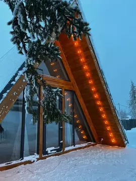 Дом в Пермский край, Губаха ул. Новая, 38 (46 м)