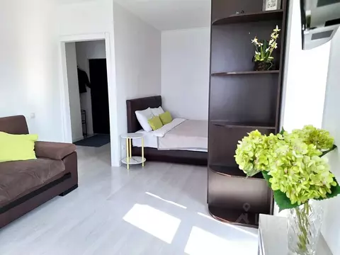 1-к кв. Приморский край, Владивосток ул. Гамарника, 23 (33.0 м)