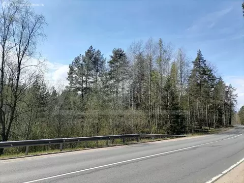 Участок в Ленинградская область, Приозерское городское поселение, ...