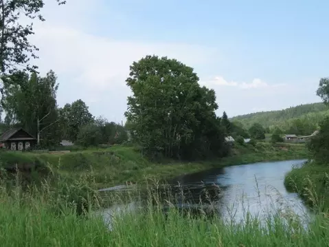 Участок в Пермский край, Большесосновский муниципальный округ, с. ...