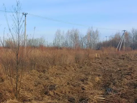 Участок в Хабаровский край, Хабаровский район, с. Краснореченское  ...