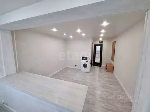 Студия Тюменская область, Тюмень Олимпийская ул., 24 (17.5 м)