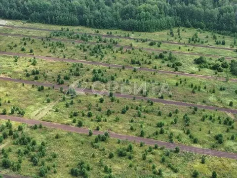 Участок в Тюменская область, Тюменский муниципальный округ, ...