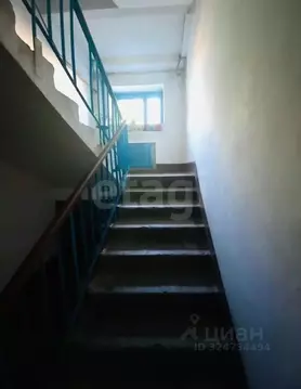 3-к кв. Алтайский край, Барнаул ул. Рылеева, 21 (56.3 м)