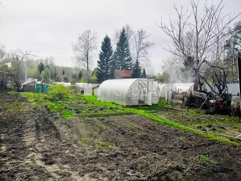 Участок в Новосибирская область, Новосибирский район, Барышевский ...