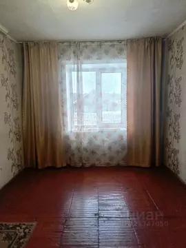 1-к кв. Алтайский край, Бийск Андреевская ул., 81 (20.0 м)