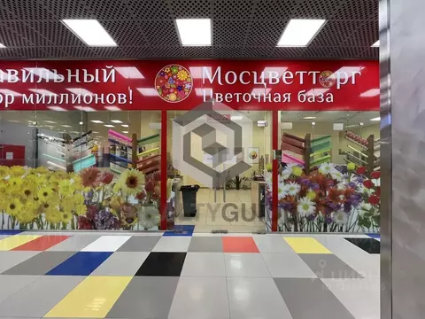 Торговая площадь в Москва Снежная ул., 26 (174 м)