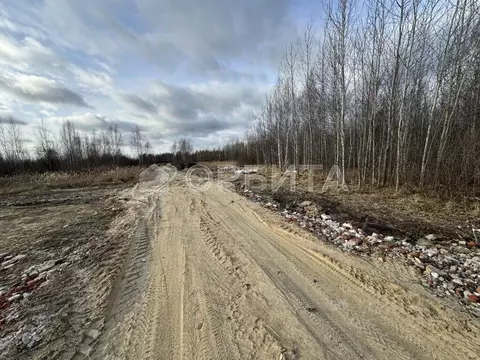 Участок в Тюменская область, Тюмень Березняки СНТ,  (6.6 сот.)