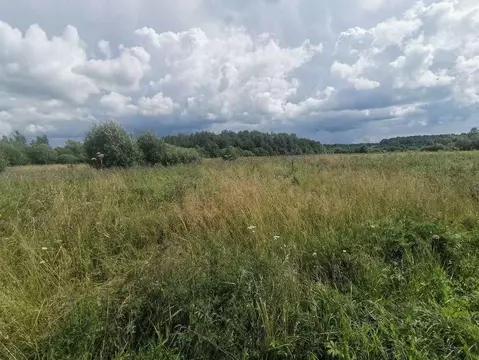 Участок в Пермский край, Пермский муниципальный округ, с. Платошино ...