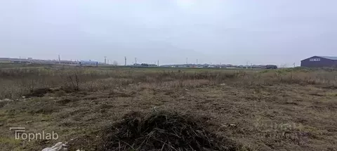 Склад в Ростовская область, Мясниковский район, Красный Крым хут. ул. ...