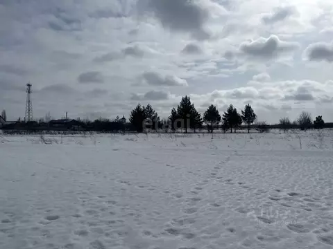 Участок в Воронежская область, Борисоглебский городской округ, с. ...