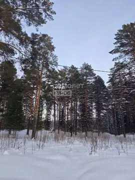 Участок в Томская область, Томский район, Богашевское с/пос, Нефтяник ...