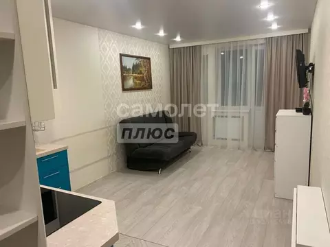 Студия Санкт-Петербург пос. Шушары, просп. Новгородский, 4 (25.0 м)