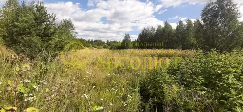 Участок в Свердловская область, Дегтярск ул. Дзержинского (11.0 сот.)