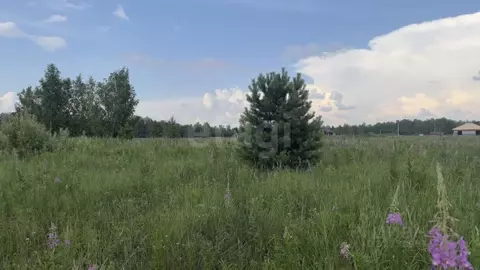 Участок в Тюменская область, Тюменский муниципальный округ, с. Каменка ...