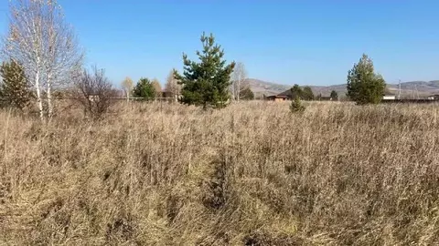 Участок в Алтай, Майминский район, с. Подгорное ул. Прибрежная (20.0 ...