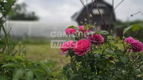 Участок в Москва с. Былово, ул. Речная, 3А (8.0 сот.)