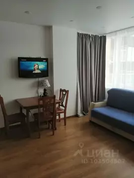 Студия Иркутская область, Иркутск ул. Полины Осипенко, 13 (45.0 м)