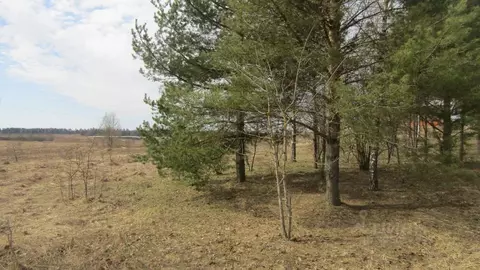 Участок в Московская область, Рузский муниципальный округ, д. Орешки  ...