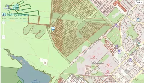 Участок в Ульяновская область, Димитровград ул. Курчатова (10.0 сот.)