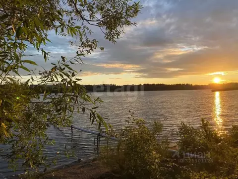 Дом в Ярославская область, Ярославль Волжанин СНТ, дорожка 6-я, 6 (72 ...