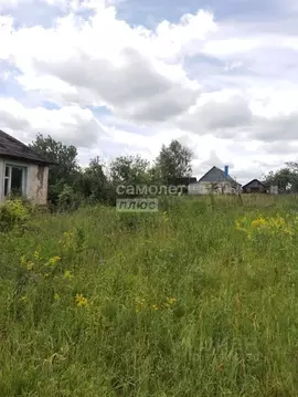 Участок в Воронежская область, Хохольский район, с. Гремячье ул. ...