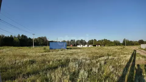 Участок в Воронежская область, Рамонский район, Березовское с/пос, д. ...