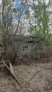 Участок в Амурская область, Свободный  (9.99 сот.)